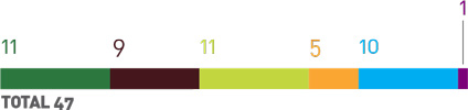 gráfico colorido em formato de barra com perfil dos cursistas de Natal. Legenda: 11 diretores; 9 coordenadores pedagógicos; 11 professores do atendimento educacional especializado; 5 professores de educação física; 10 professores de aula regular e 1 profissional de apoio. Total 47 cursistas.