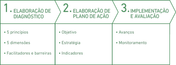 1. Elaboração de diagnóstico(5 princípios, 5 dimensões e 5 facilitadores e barreiras) 2. Elaboração de Plano de ação (objetivos, estratégia, e indicadores) 3. Elaboração e avaliação(Avanços e Monitoramento)